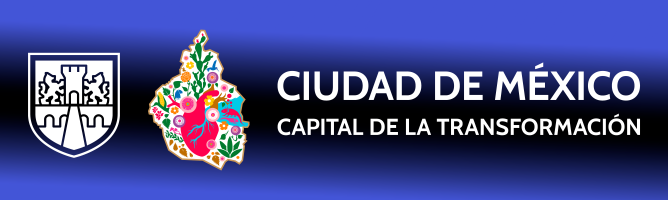 Policia Auxiliar de la CDMX